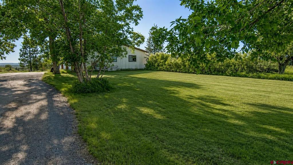 793 County Road 104 Property Photo 34