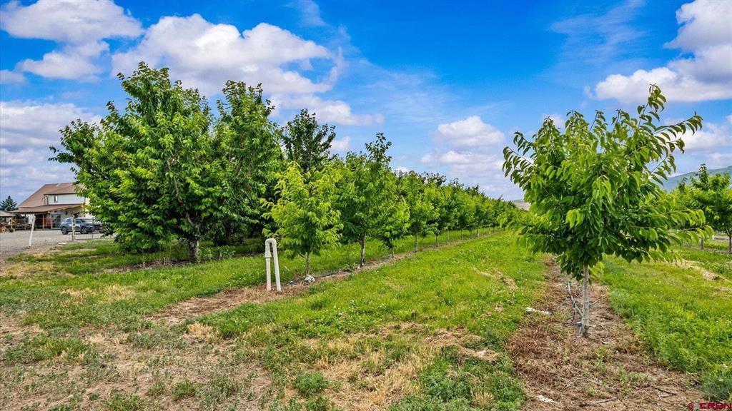 20977 Nowhere Road Property Photo 3
