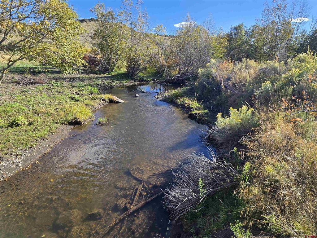 Lot 20, Blk 6 La Jara Creek Acres Property Photo 1