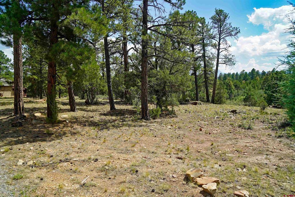 Tbd Hummingbird Trail Property Photo 4