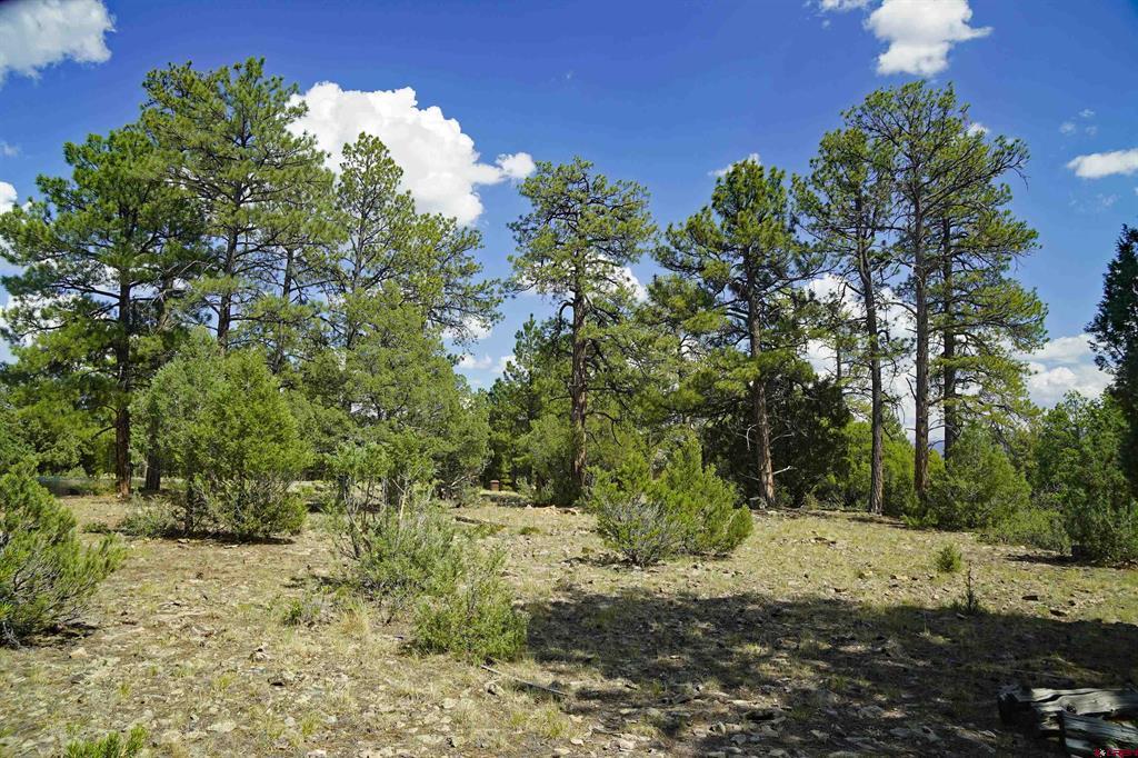 Tbd Hummingbird Trail Property Photo 5