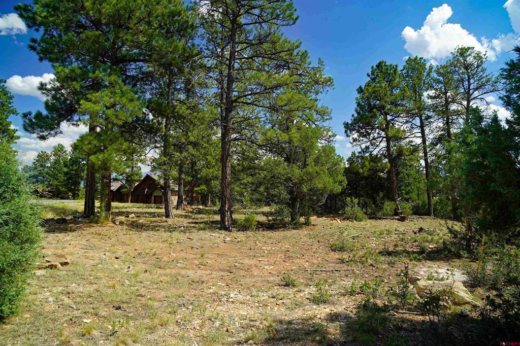 Tbd Hummingbird Trail Property Photo 6