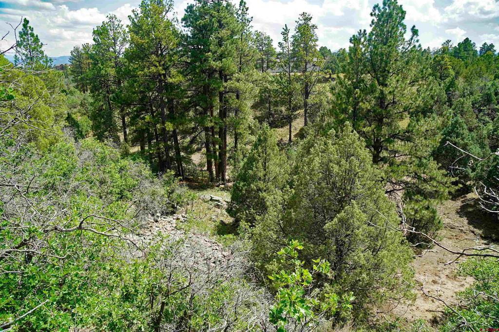 Tbd Hummingbird Trail Property Photo 7