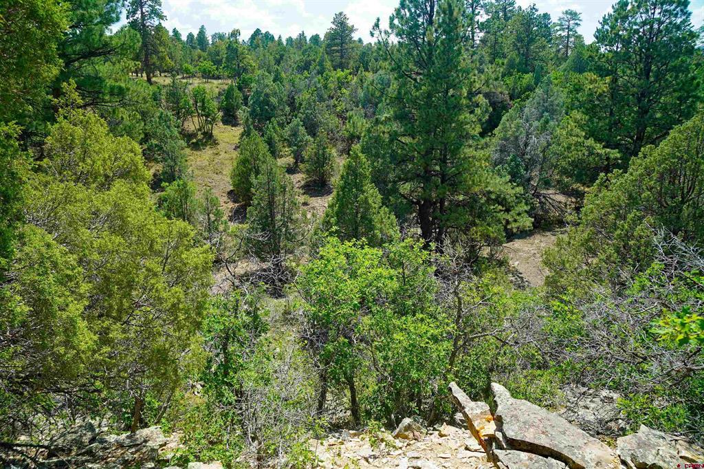 Tbd Hummingbird Trail Property Photo 8
