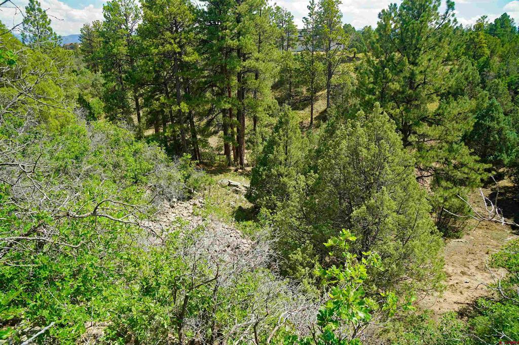 Tbd Hummingbird Trail Property Photo 9