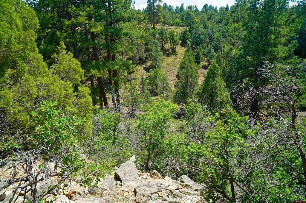 Tbd Hummingbird Trail Property Photo 10