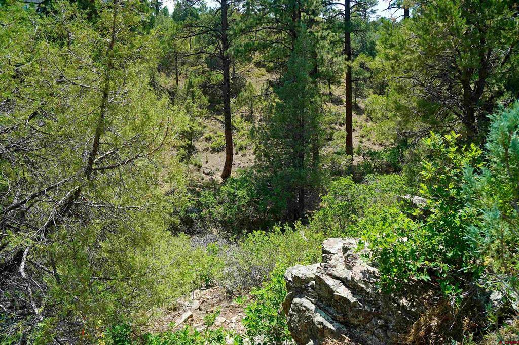 Tbd Hummingbird Trail Property Photo 11