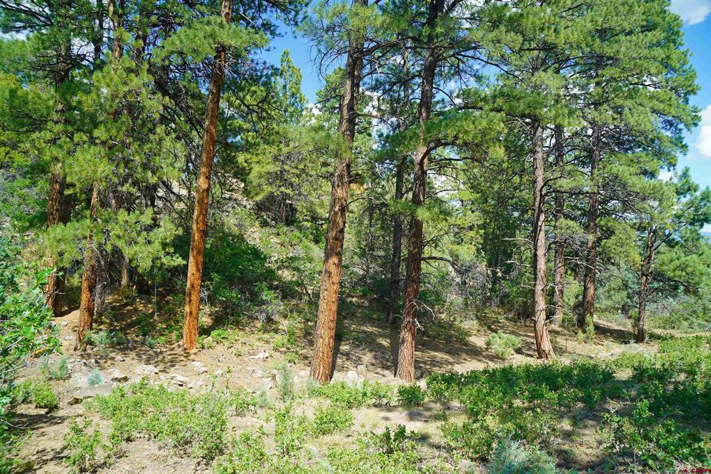 Tbd Hummingbird Trail Property Photo 13