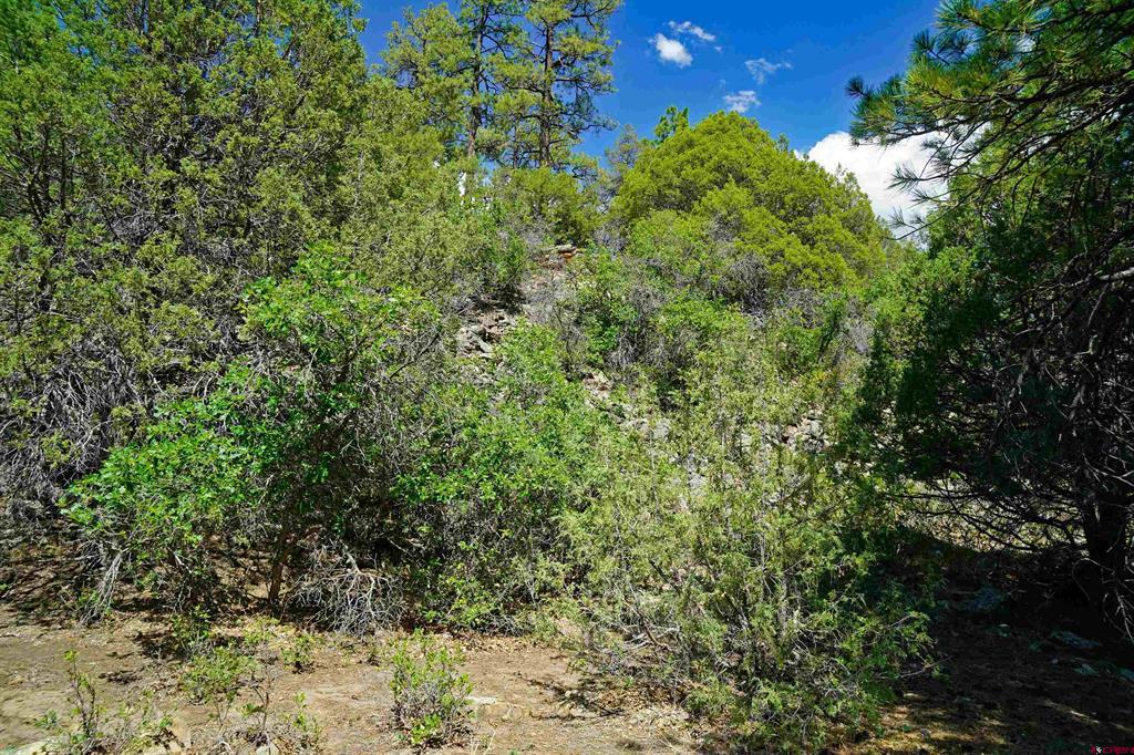 Tbd Hummingbird Trail Property Photo 15
