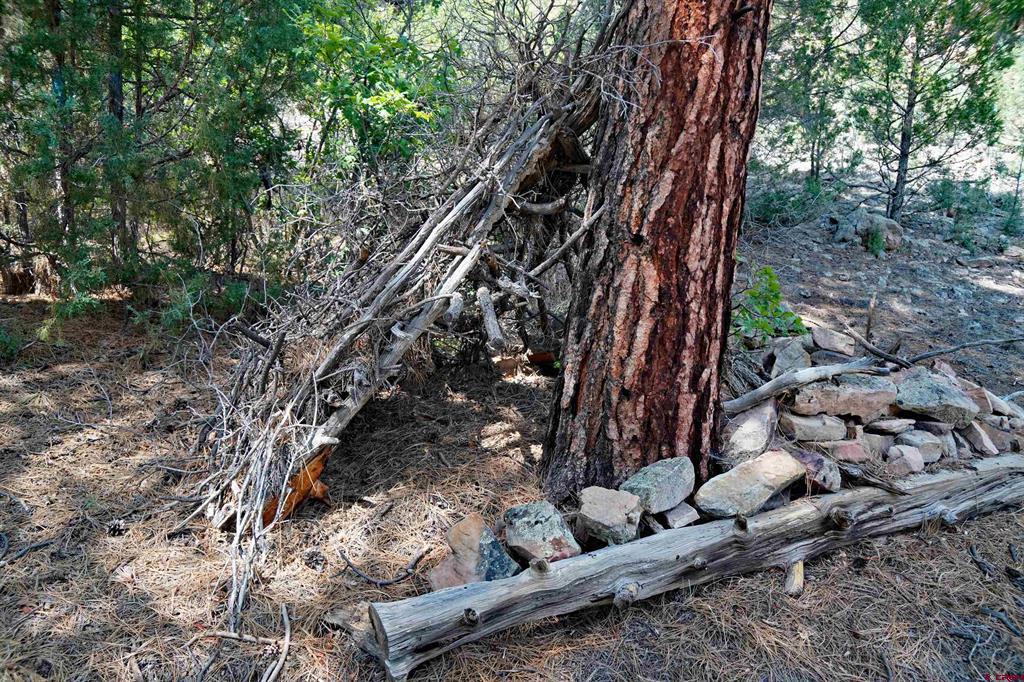 Tbd Hummingbird Trail Property Photo 16