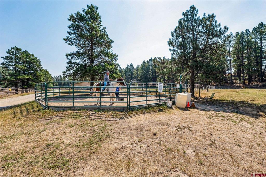 2400 Piedra Road Property Photo 16
