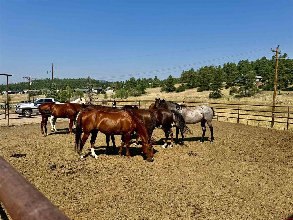 2400 Piedra Road Property Photo 20