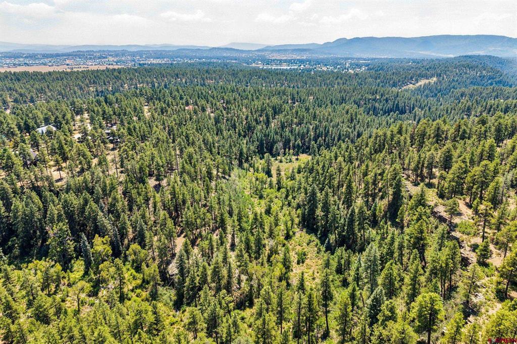 2400 Piedra Road Property Photo 33