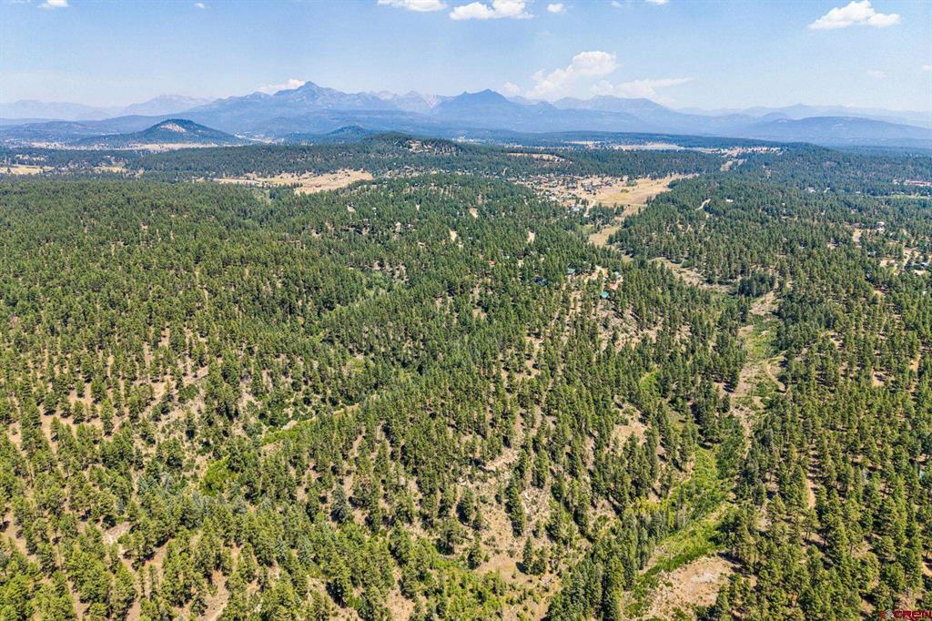 2400 Piedra Road Property Photo 34