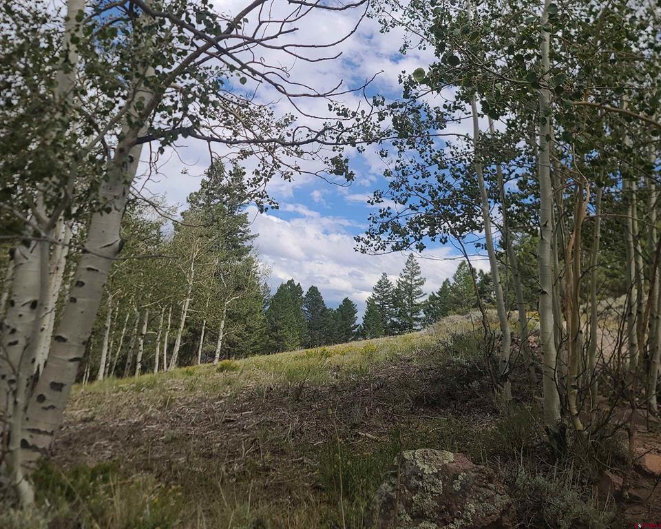166 & 218 Blue Mesa Drive Property Photo 2