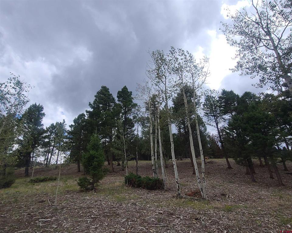 166 & 218 Blue Mesa Drive Property Photo 4