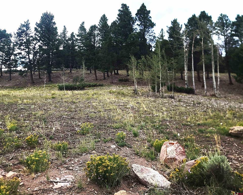 166 & 218 Blue Mesa Drive Property Photo 6
