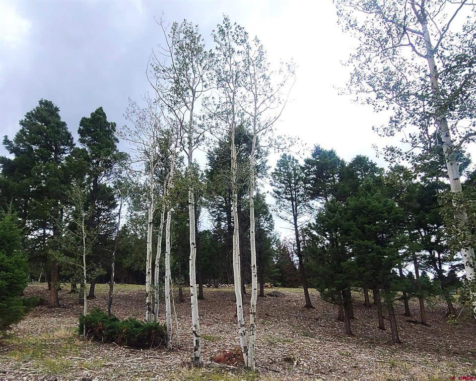 166 & 218 Blue Mesa Drive Property Photo 10