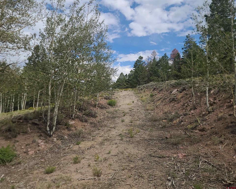 166 & 218 Blue Mesa Drive Property Photo 15