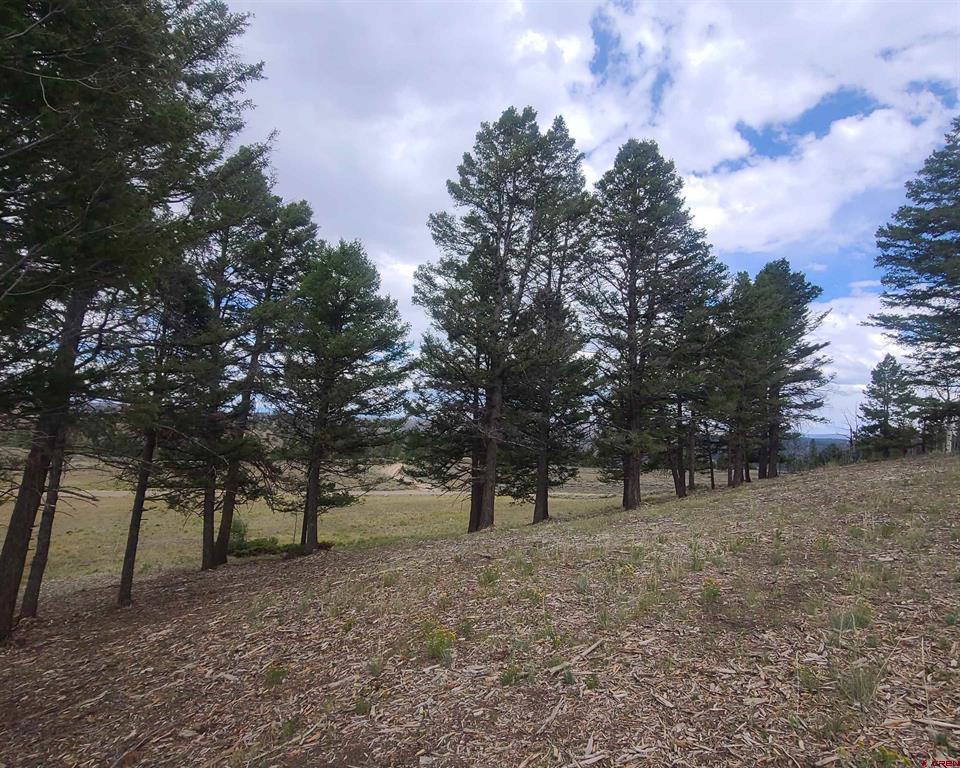 166 & 218 Blue Mesa Drive Property Photo 17