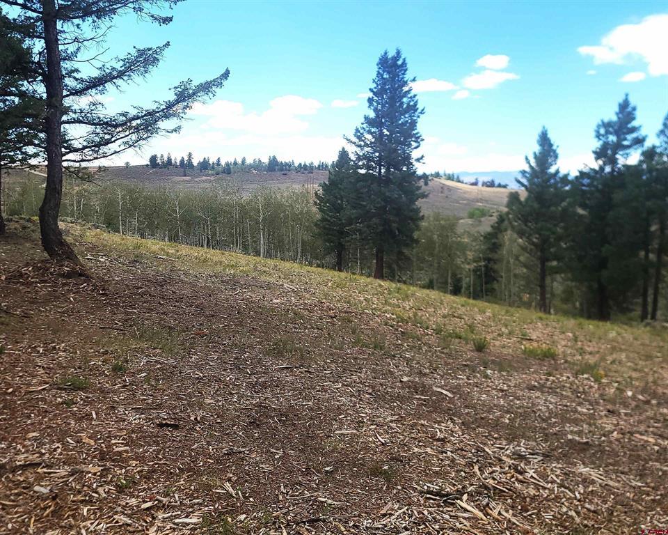 166 & 218 Blue Mesa Drive Property Photo 19