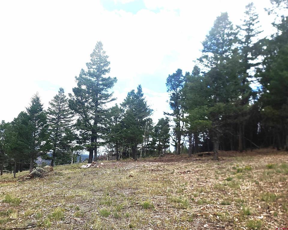 166 & 218 Blue Mesa Drive Property Photo 21