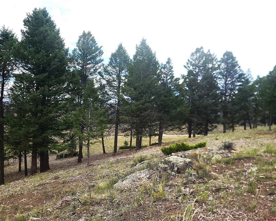 166 & 218 Blue Mesa Drive Property Photo 22