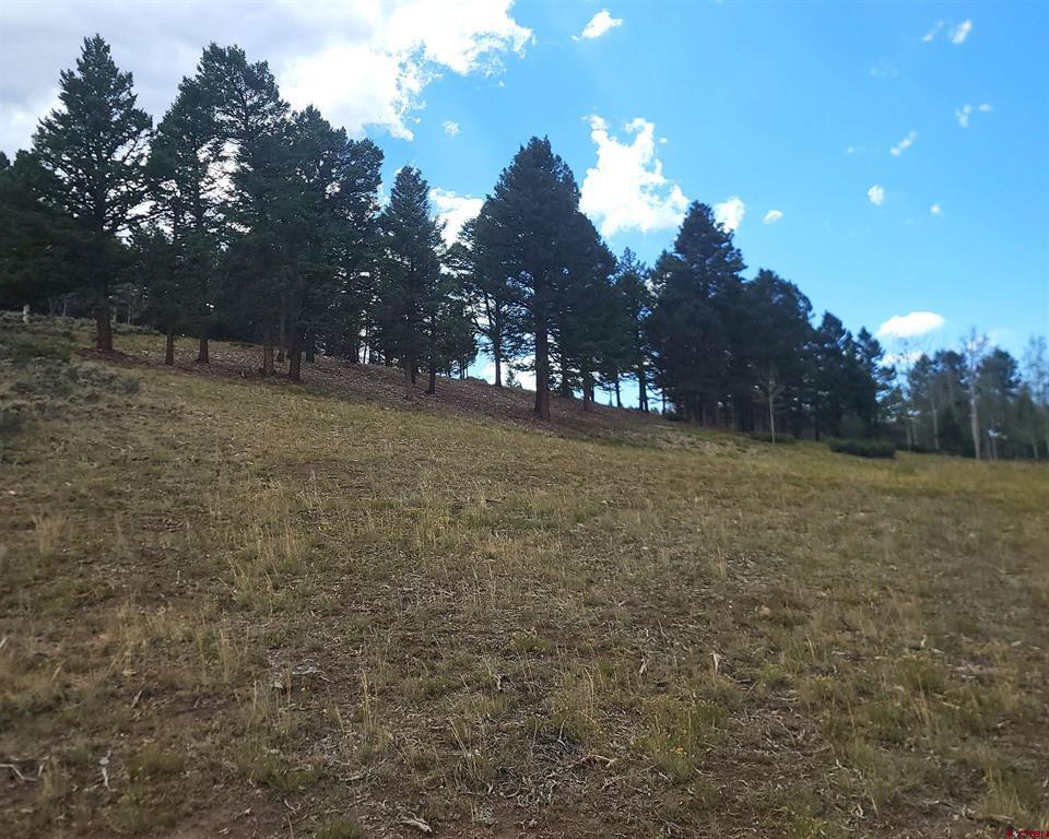 166 & 218 Blue Mesa Drive Property Photo 24