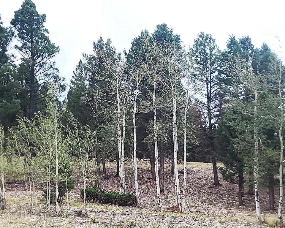 166 & 218 Blue Mesa Drive Property Photo 25