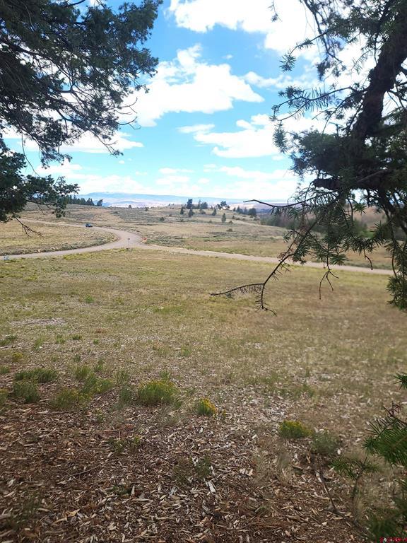 166 & 218 Blue Mesa Drive Property Photo 27