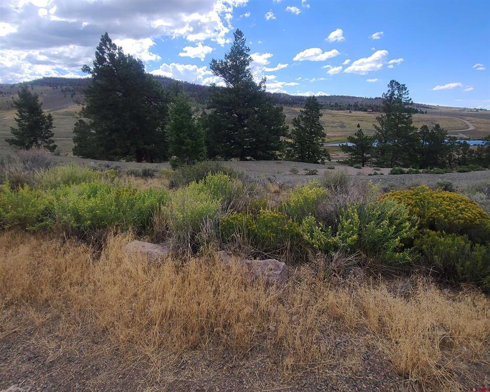 457 Castle Circle Property Photo 14