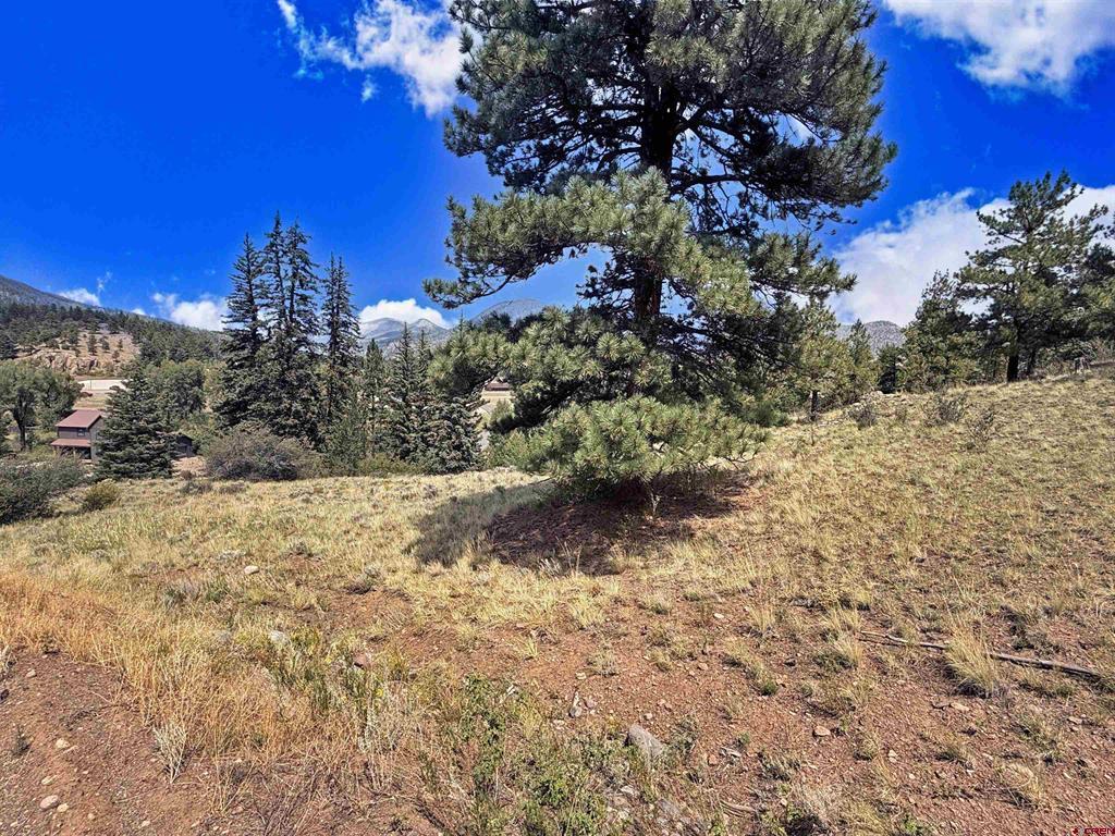 220 Escondida Drive Property Photo 12