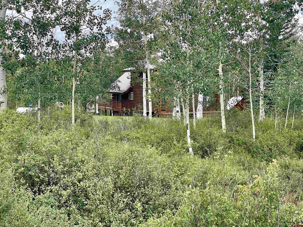 7231 Road 42.9 Property Photo 40