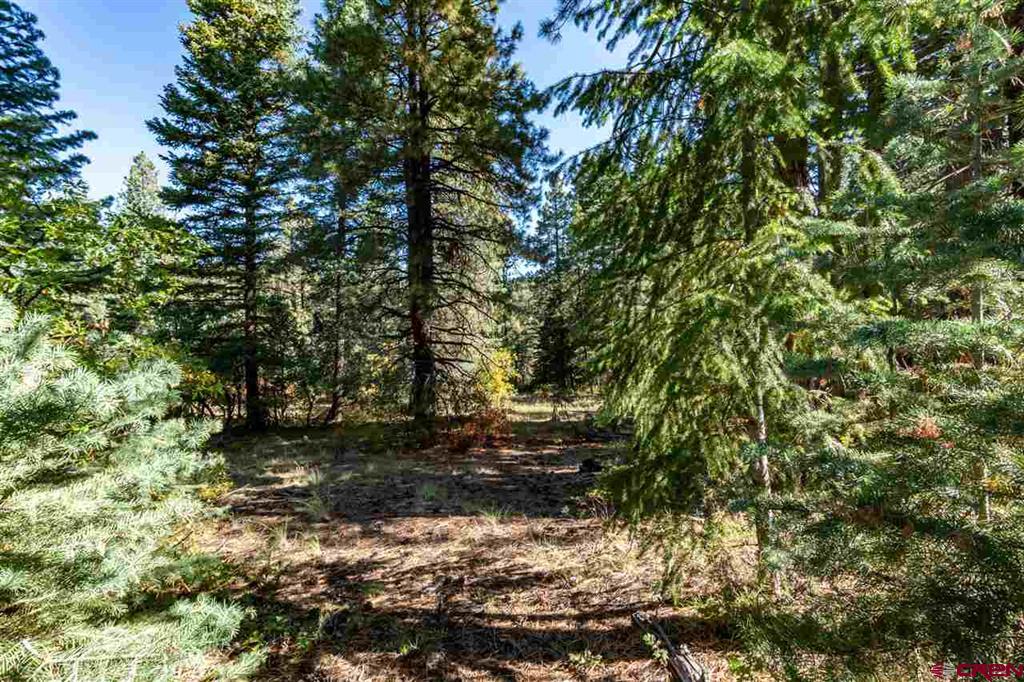 307 Nature's Way Property Photo 1