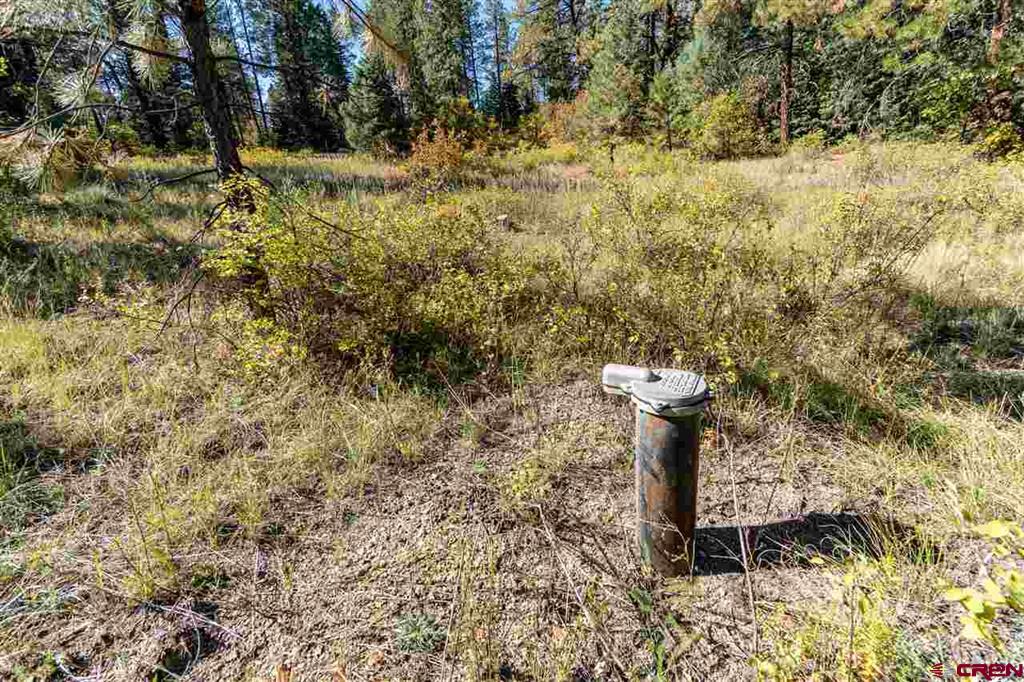307 Nature's Way Property Photo 2