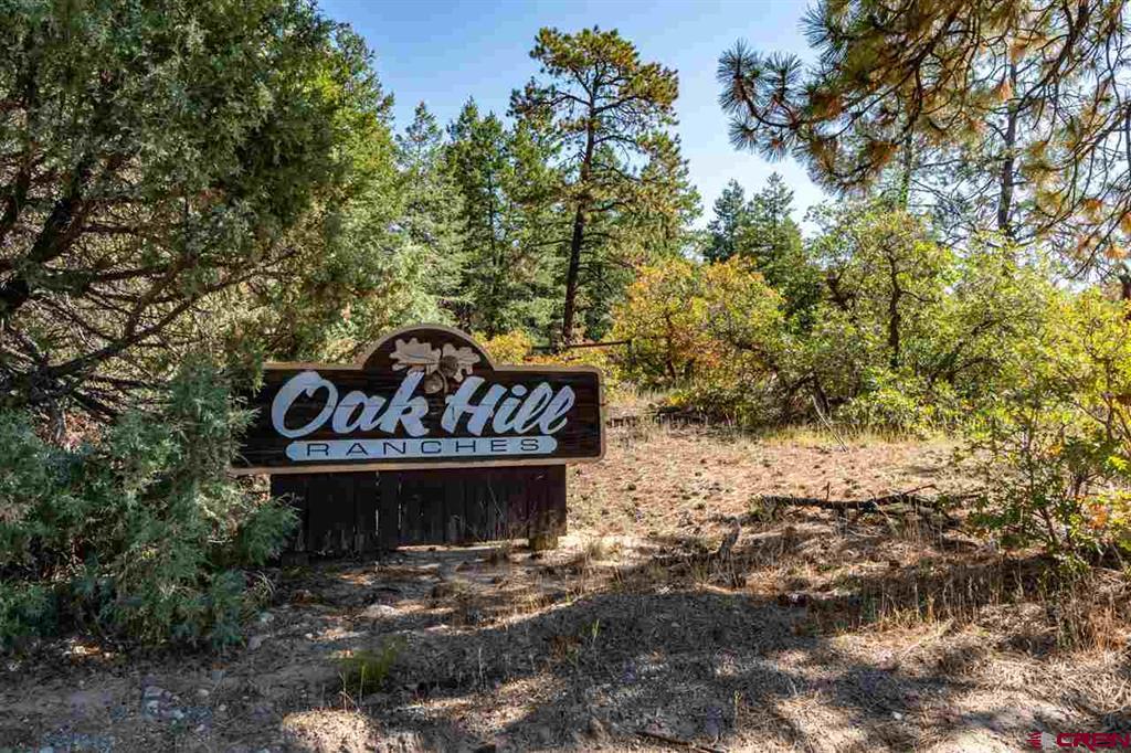 307 Nature's Way Property Photo 3