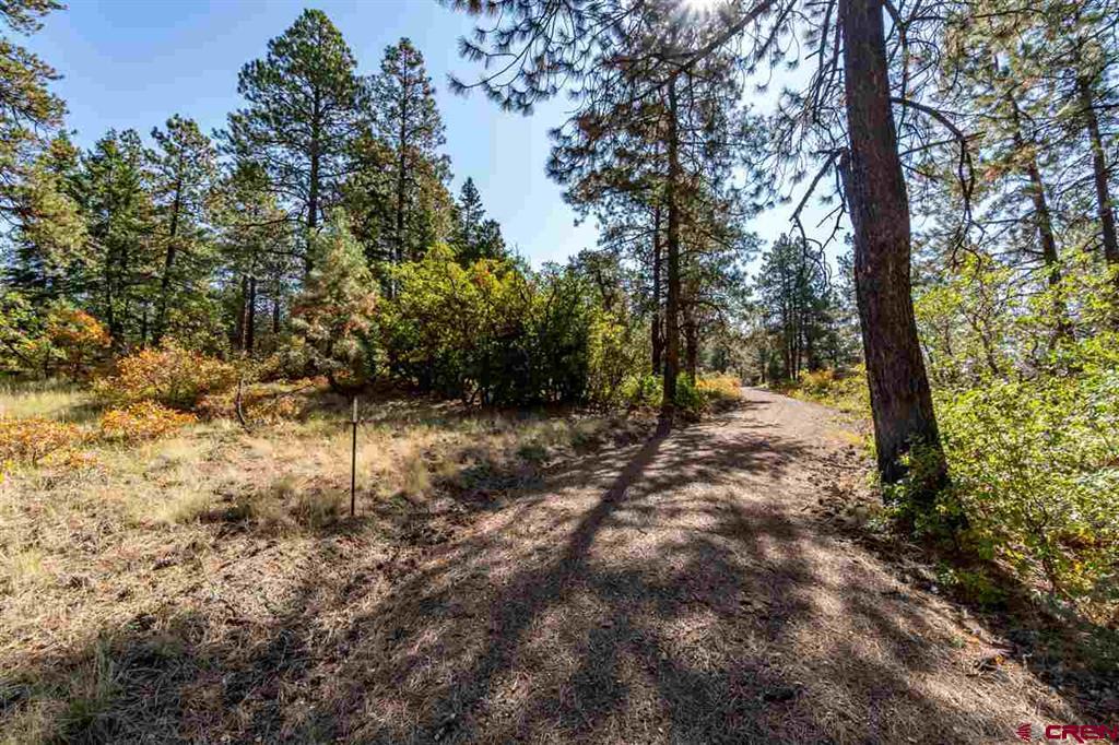 307 Nature's Way Property Photo 4