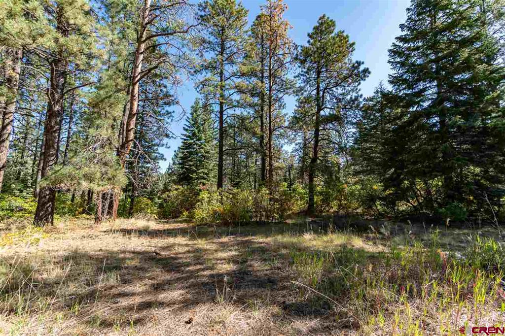 307 Nature's Way Property Photo 6