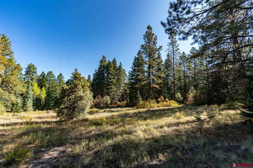 307 Nature's Way Property Photo 7