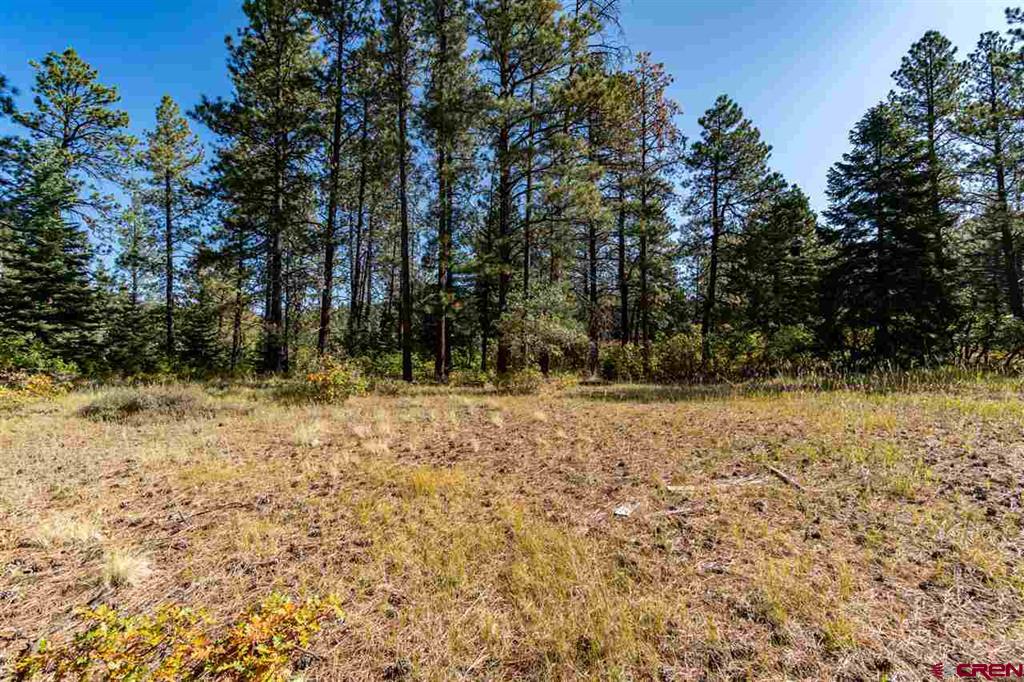 307 Nature's Way Property Photo 8