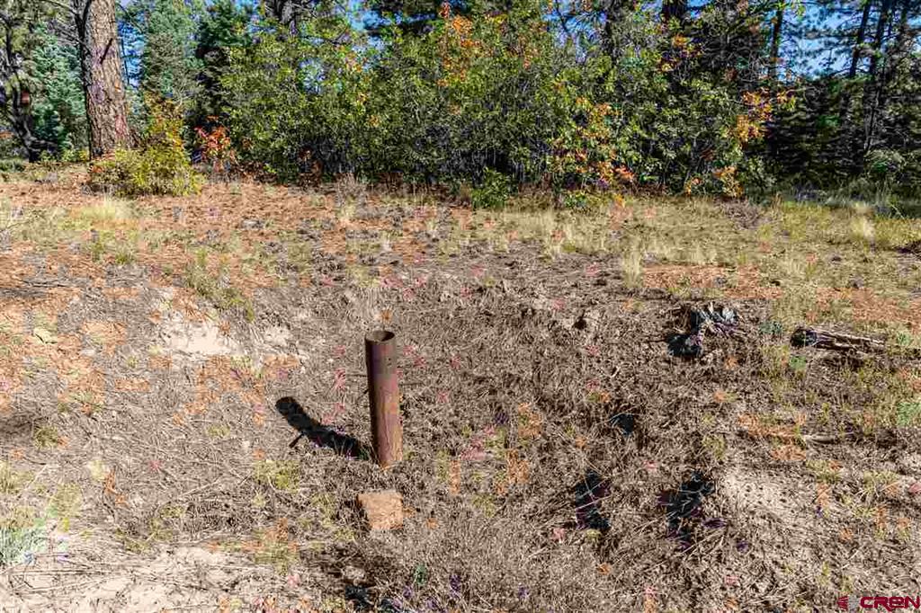 307 Nature's Way Property Photo 9