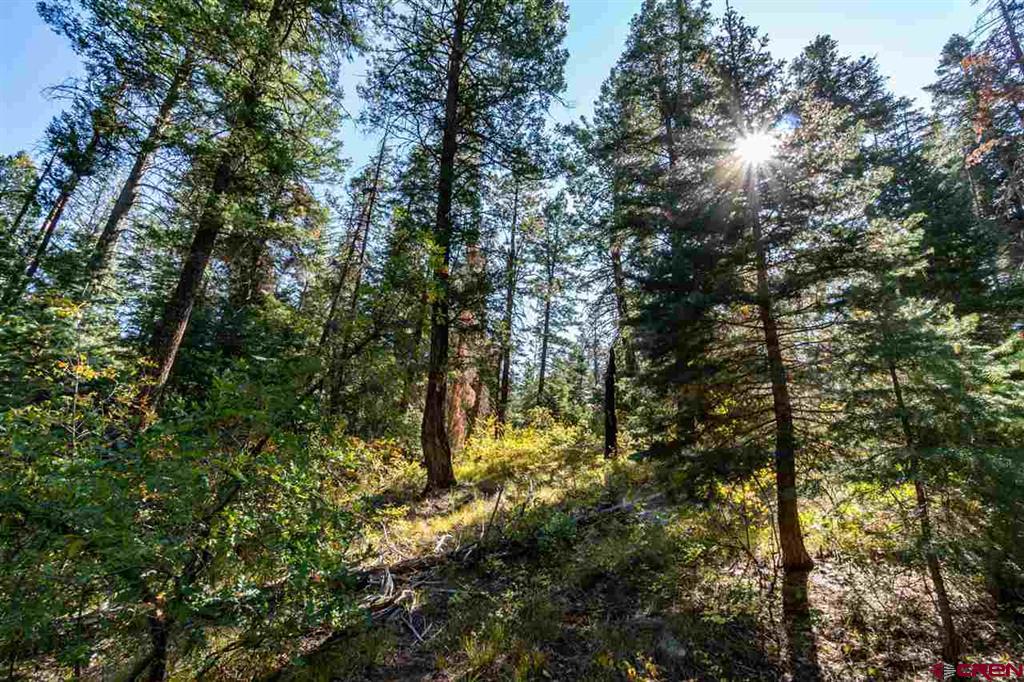 307 Nature's Way Property Photo 10