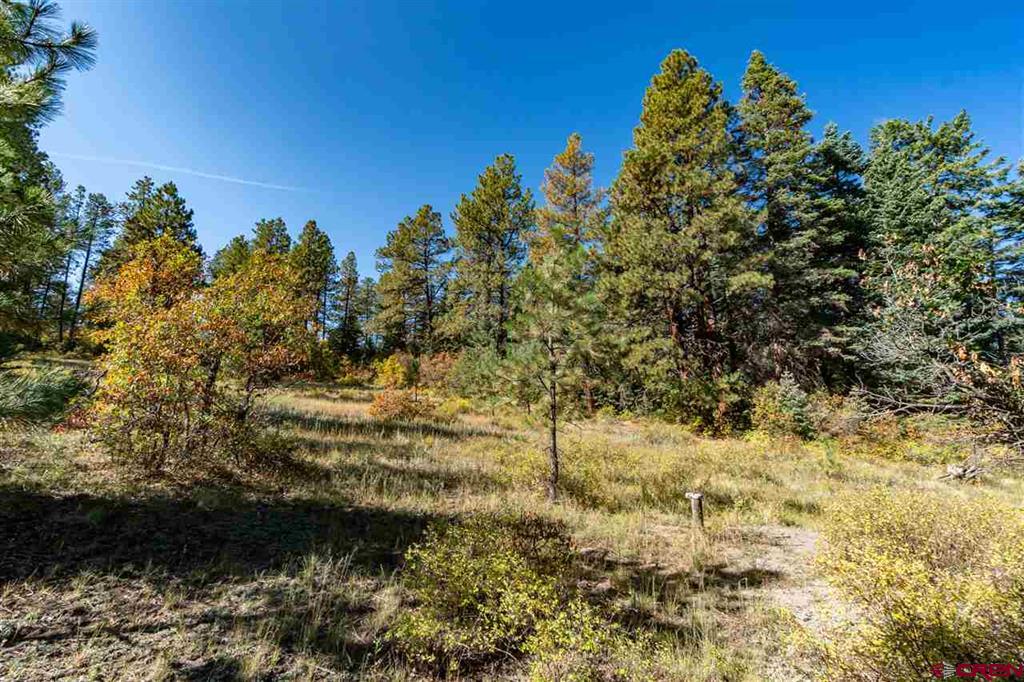 307 Nature's Way Property Photo 11