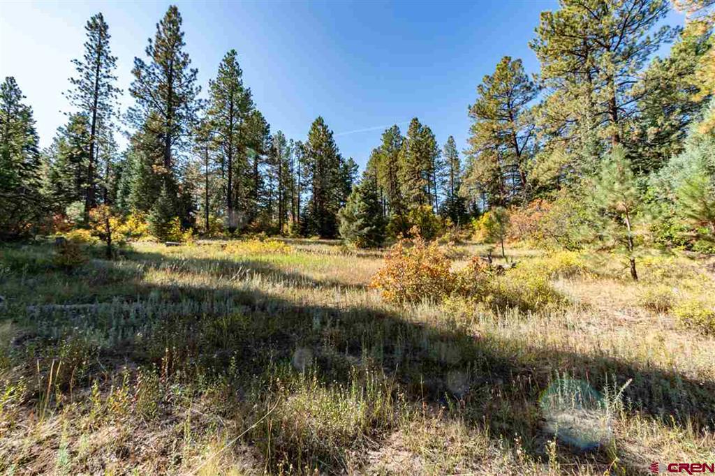 307 Nature's Way Property Photo 12