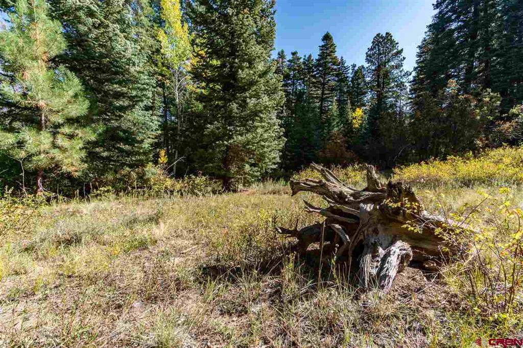 307 Nature's Way Property Photo 13
