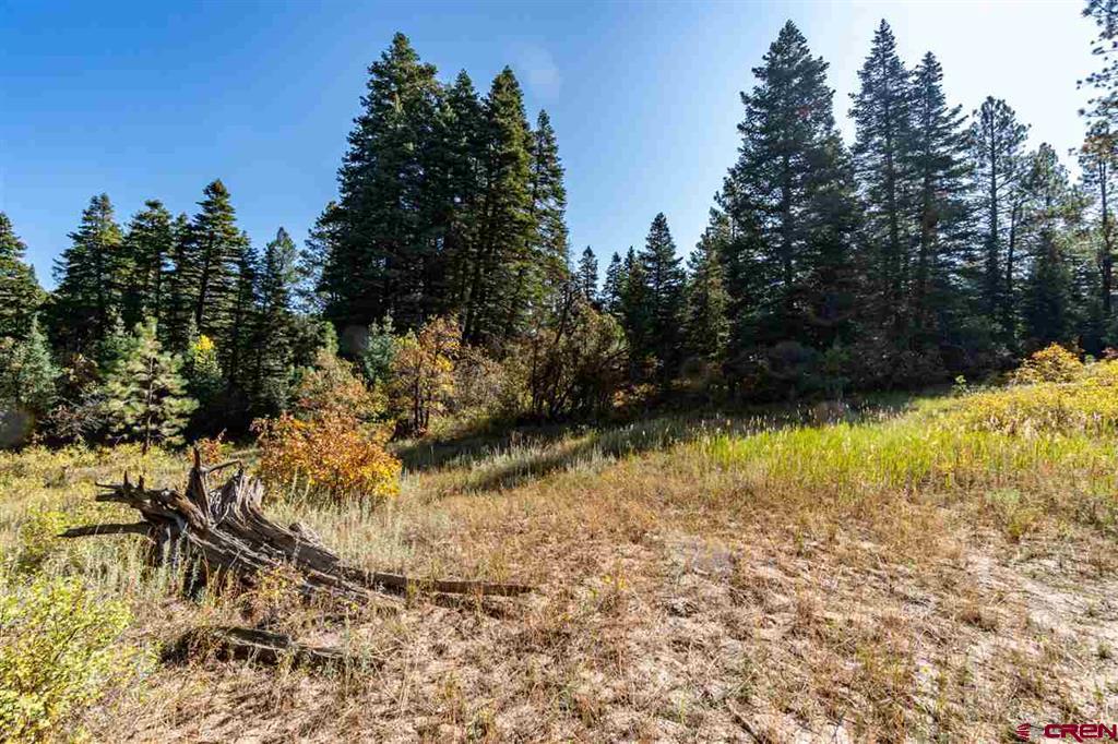 307 Nature's Way Property Photo 14