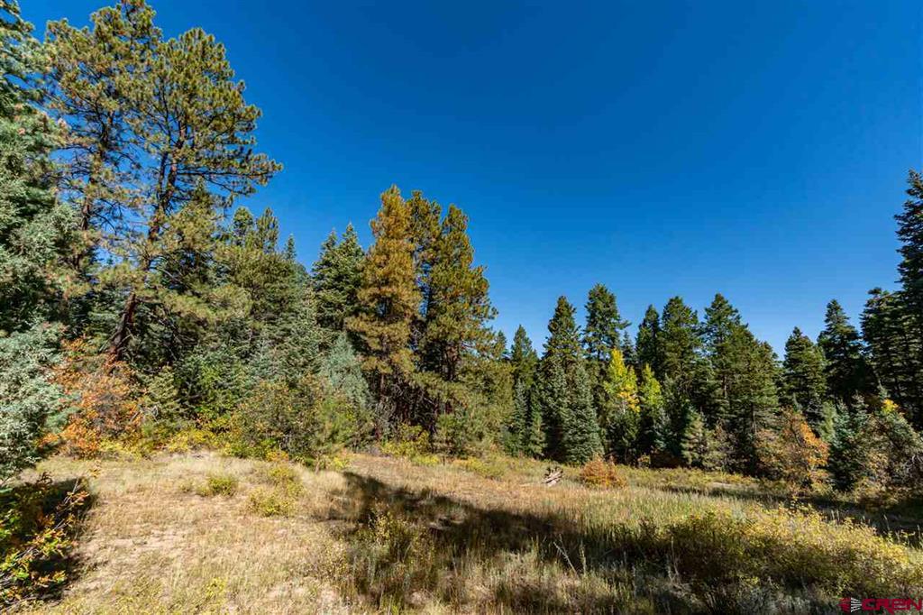 307 Nature's Way Property Photo 15