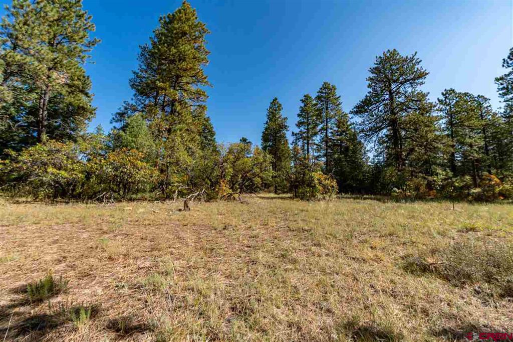 307 Nature's Way Property Photo 16