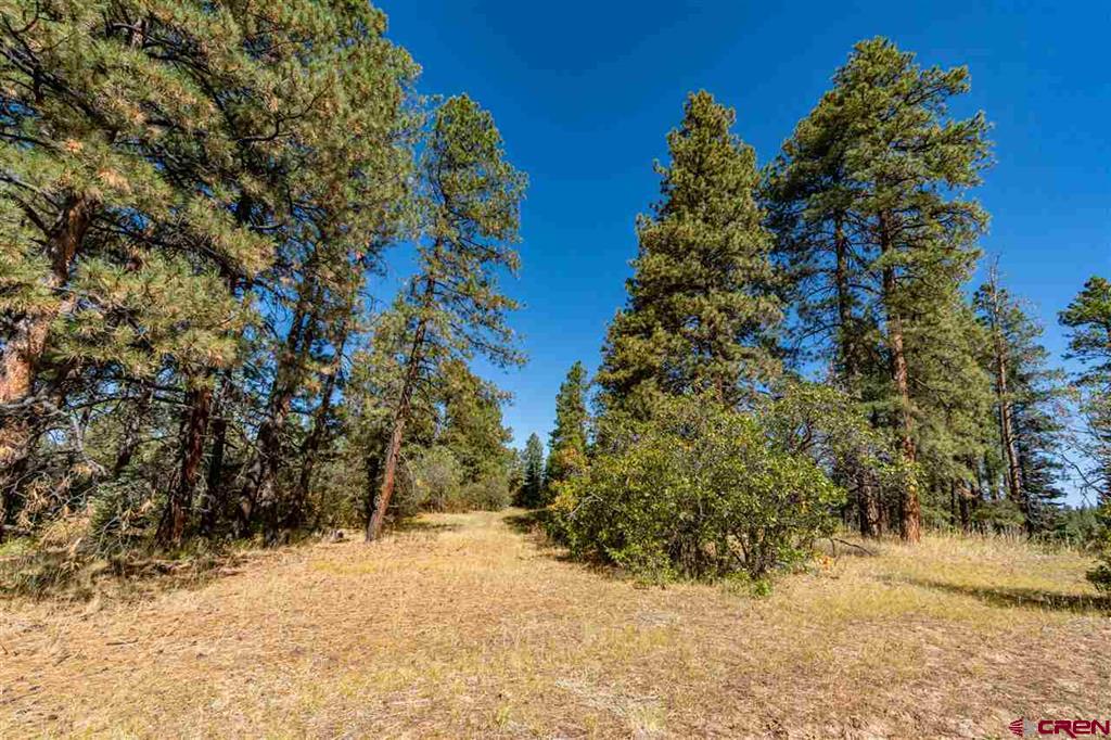 307 Nature's Way Property Photo 17