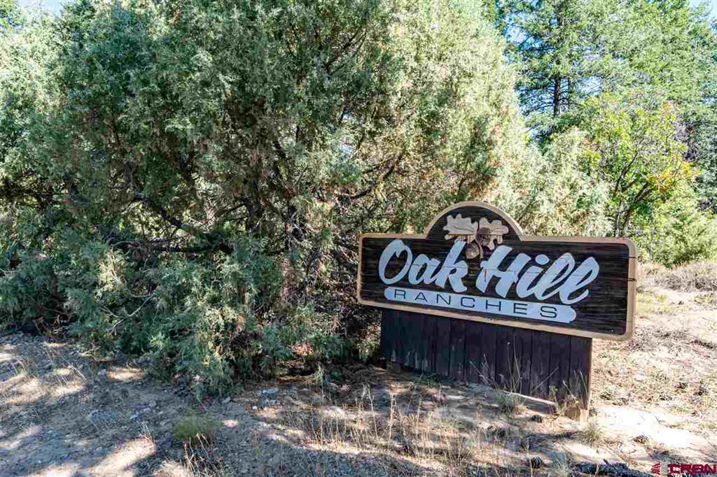 307 Nature's Way Property Photo 18